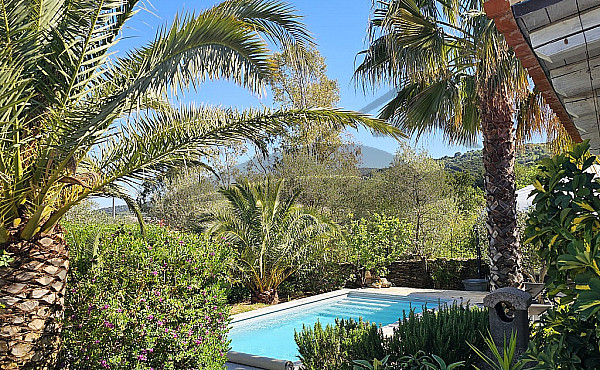 Ruheoase im Palmenparadies mit Pool